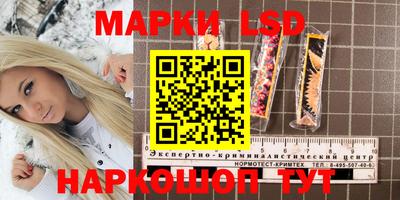 кокс Кингисепп