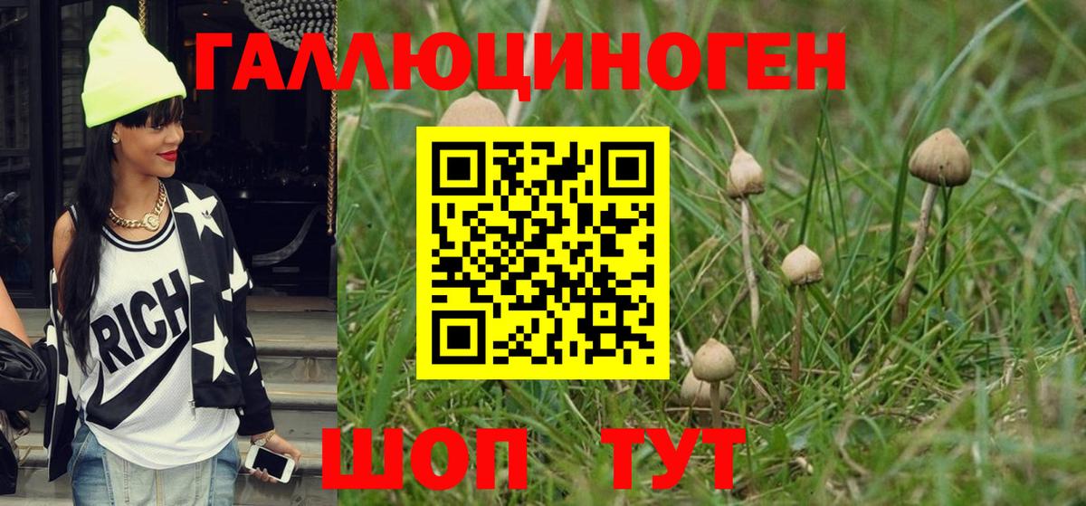 Галлюциногенные грибы прущие грибы Воркута